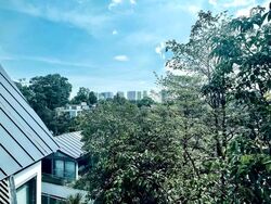 The Holland Collection (D10), Apartment #555976311